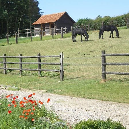 Ferme Des Tilleuls Bezinghem Buitenkant foto