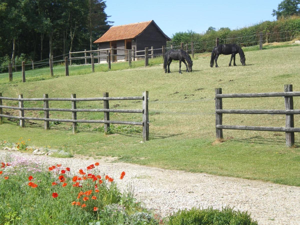 Ferme Des Tilleuls Bezinghem Buitenkant foto